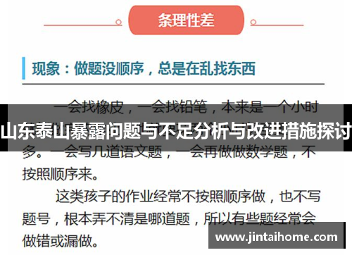 山东泰山暴露问题与不足分析与改进措施探讨